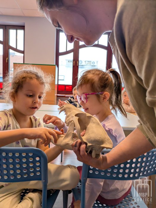 Biblioteka Gorlice, Mała książka Wielki człowiek Prelegentka pokazuje czaszke wilka wykonaną w drukarce 3D